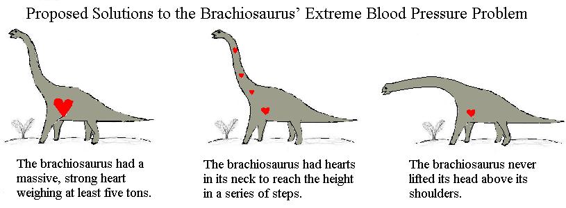 Dinosaurs and Dragonflies