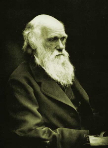 Picture of Charles Darwin
