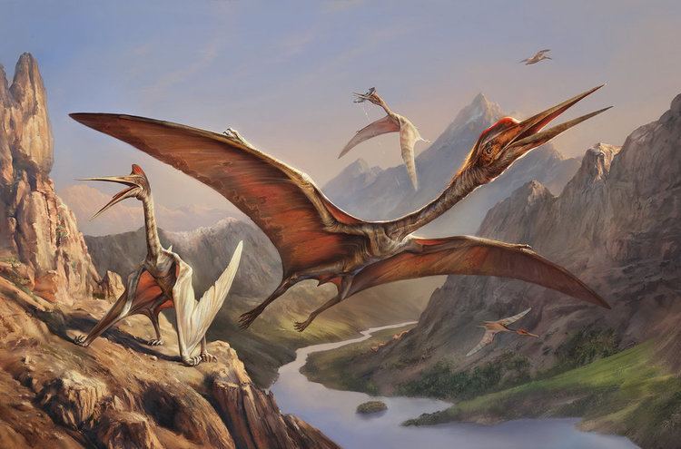 Quetzalcoatlus