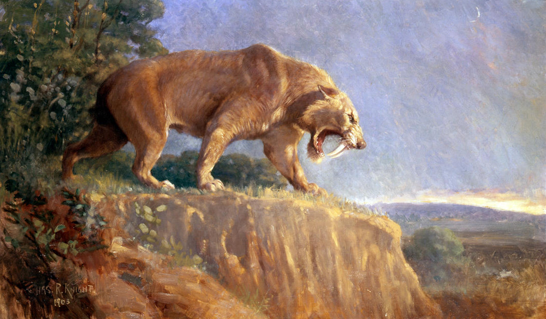Saber_Toothed Cat