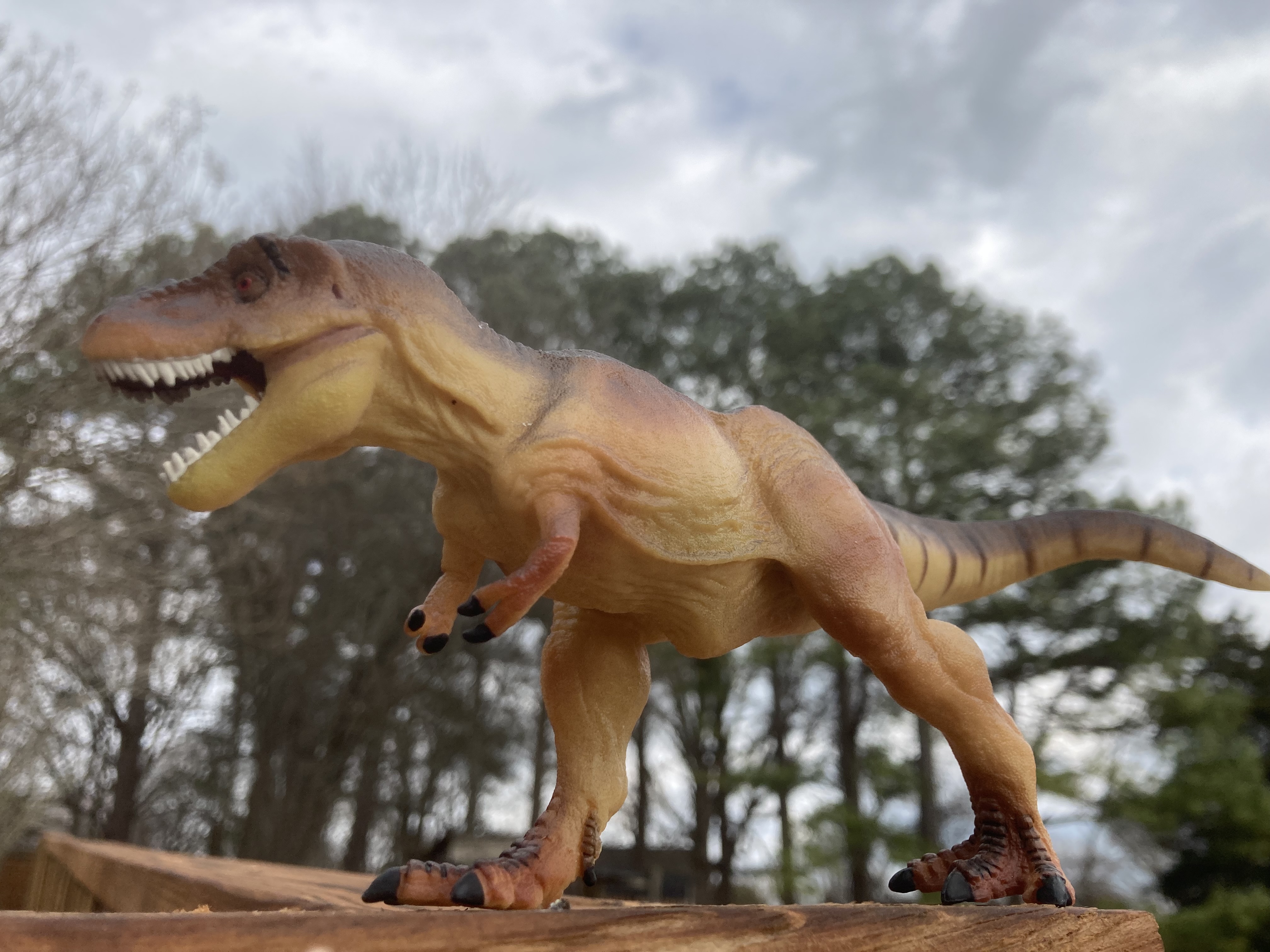 Photo of T-Rex model